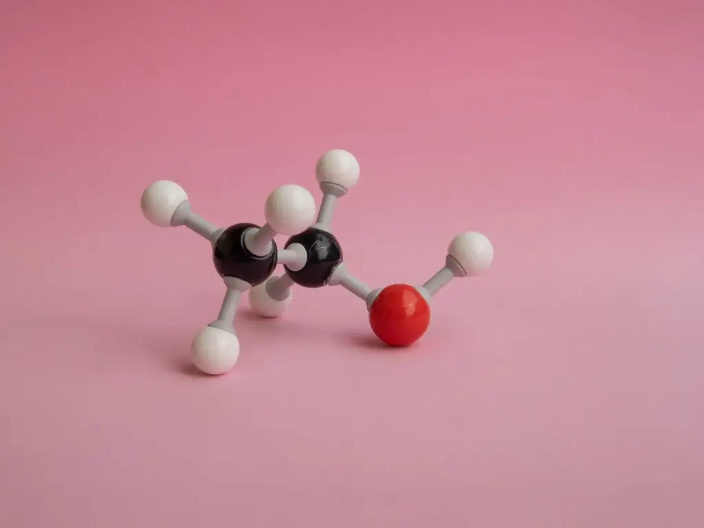 Anti Iba1, Rabbit, Biotin-conjugated