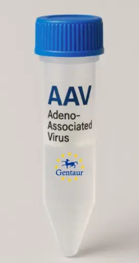 [MA-913] CHEK2 AAV Vector (Mouse) (CMV)